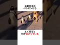 自認ペンギン犬