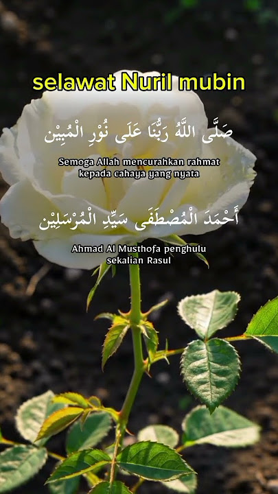 selawat Nuril Mubin #selawatdanzikir #jomsebarluaskankebaikan #shorts