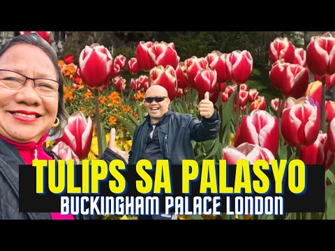 TULIPS SA PALASYO NG LONDON | Summer flowers Buckingham Palace England | Pandemic Summer |