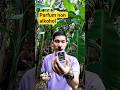 Parfum Non Alkohol Saat Naik Tangga #shorts #parfumnonalkohol