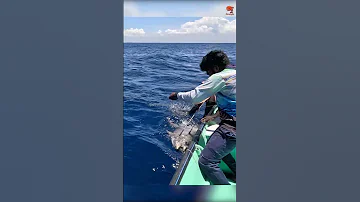 Catching 97kg Yellowfin Tuna Using Live Rosy Snapper Fish 