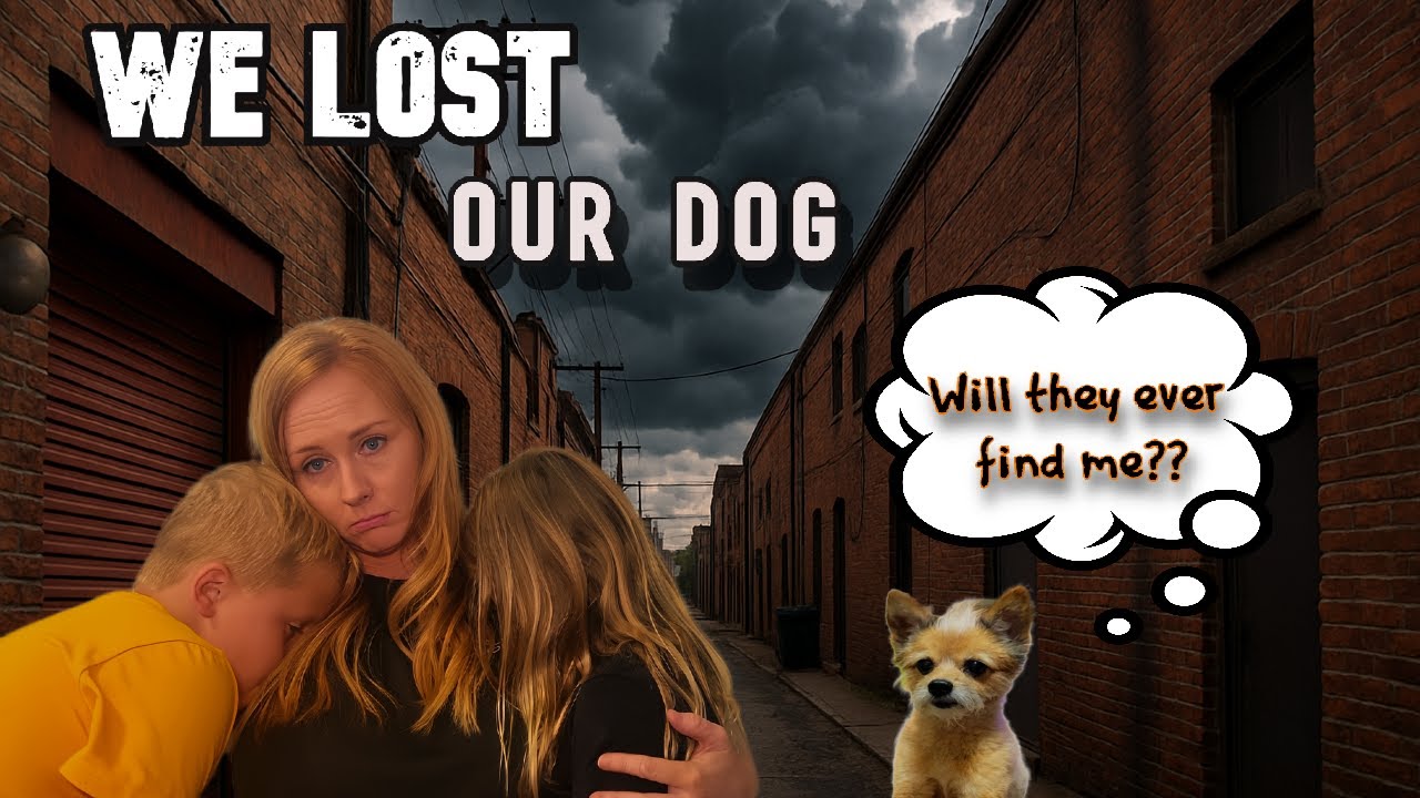 Our DOG IS MISSING!! Help Us FIND Her..