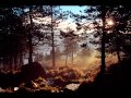 Sri Chinmoy - The Green of the Forest