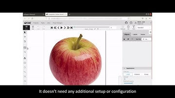 CVAT integration with Polygon