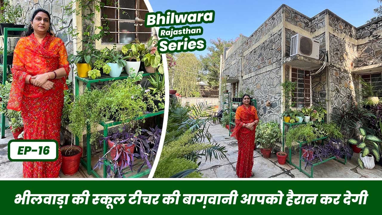 भीलवाड़ा की स्कूल टीचर की बाग़वानी आपको हैरान कर देगी 😱🪴 Teacher + Gardener 🥰 EP-16