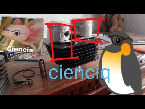 carrera corta😉o larga