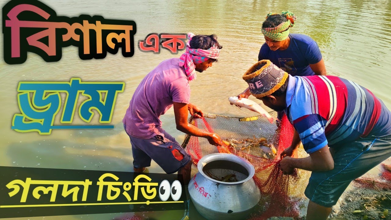 বিশাল এক ড্রাম গলদা চিংড়ি.!👀😱🦐🦐