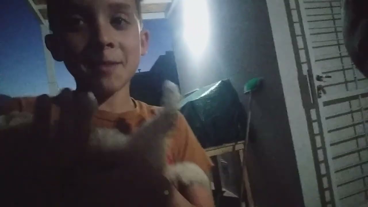 yo con mis amigos juan fran jonas y rami