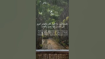 ( فستذكرون مآ أقول لكمْ وأفوض أمرىٓ إِلى ٱللَّه) سورة غافر الآيه 44. قرآن _ Quran.