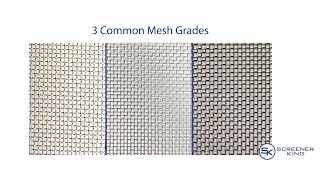 Celebrity Mesh 101 Net Worth
