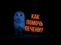 Как помочь печени