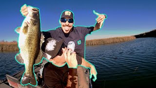 The WORLD'S GREATEST FISHING GAME EVER! UBF screenshot 4