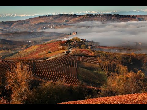 Piemonte e Liguria: l'agricoltura del 2020 in tempo di Covid