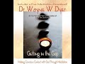 Audiobook: Wayne Dyer - Getting in the Gap: Making conscious contact with God through meditation