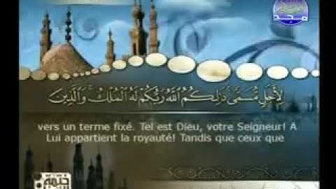 سورة فاطر  الشيخ محمد صديق المنشاوي من الآية 12 الى 14_00