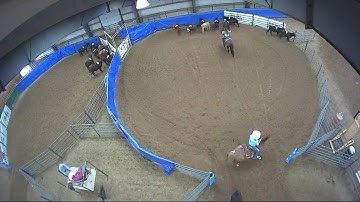 Big Sky Ranch Sorting Saddle Series #5 - #5 - Round #1 - Ride #2