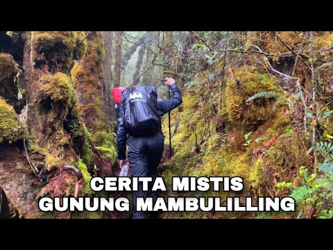 Awal yang baru ,Petualangan baru 🔥Misteri gunung mambulilling mamasa