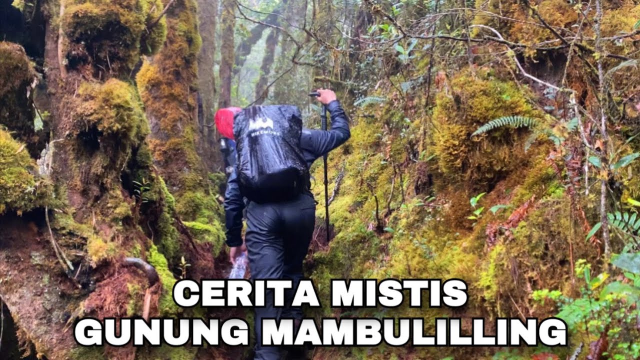 Awal yang baru ,Petualangan baru 🔥Misteri gunung mambulilling mamasa#kinsurvive