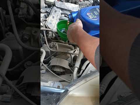 تغيير زيت رينو زيت 5000 نوعه  فرنساوي اصلي متستخسرش في الزيت