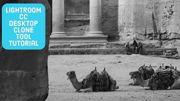 Lightroom CC Desktop Tutorial #3: Clone Tool