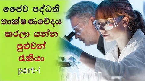 A/l Bio System Technology Jobs  i-part | ජෛව පද්ධති තාක්ෂණවේදය කරලා යන්න පුළුවන් රැකියා | Bst jobs