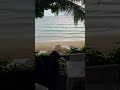 Phi Phi Thailand Tropical Beach Beautiful location