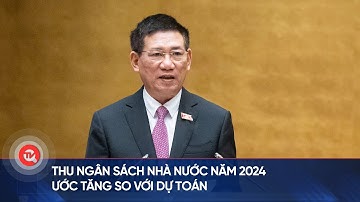 Thu ngân sách nhà nước năm 2024 ước tăng so với dự toán | Truyền hình Quốc hội Việt Nam