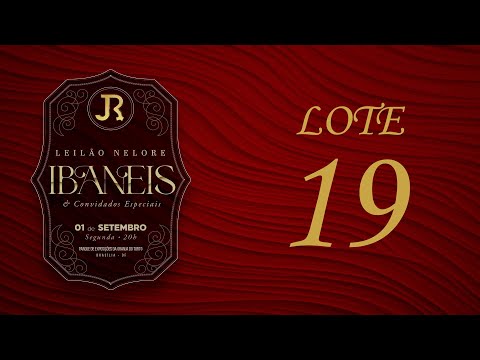 LOTE 19   JNP 373