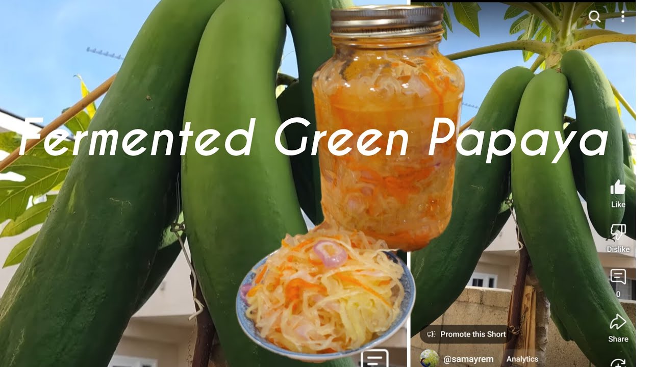 Lacto-fermented Green Papaya | Probiotic rich vegetables are great for digestive and diabetes .