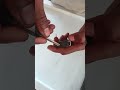 bmw remote battery #youtubecreator #automobile #cars