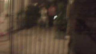 Ahh Aaron, Calvin, Dianna