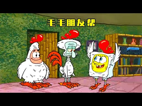 海绵宝宝和派大星成立了毛毛朋友帮，并邀请章鱼哥加入