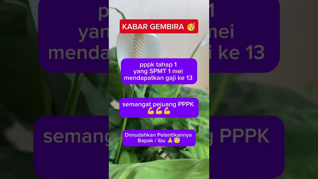 pppk SPMT 1 mei berhak mendapatkan. gaji k 13