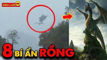 🔥 8 Bí Ẩn Ly Kỳ và Thú Vị về Rồng Và Bằng Chứng 99.9% Rồng Có Thật | Kính Lúp TV