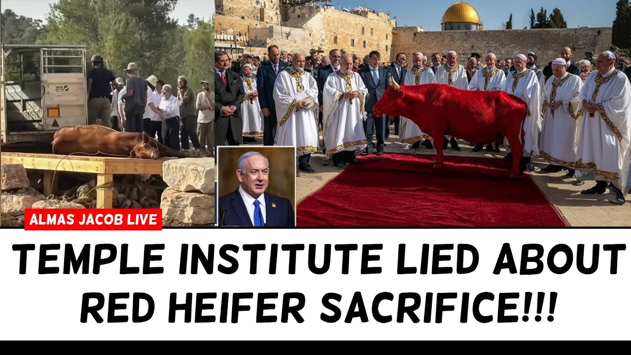 TEMPLE INSTITUTE LIED ABOUT RED HEIFER SACRIFICE?