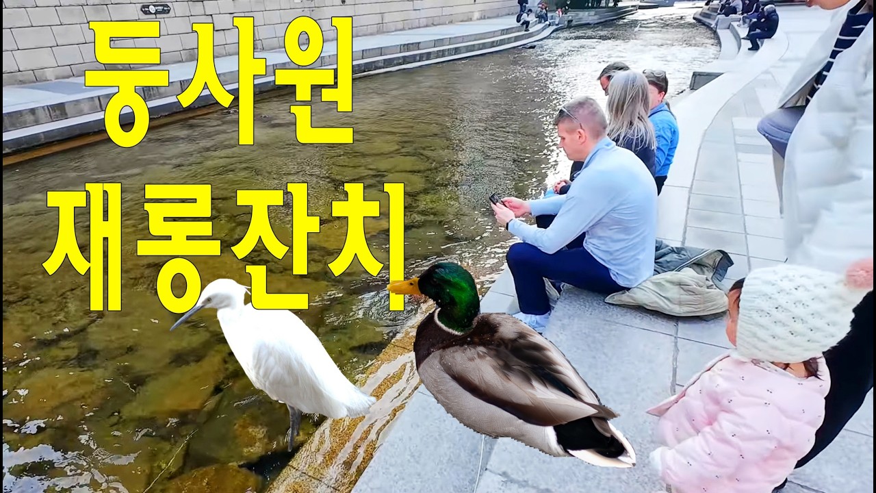 외국인관광객들도 빠져드는 둥사원들의 매력속으로~ / 수중착지,삼각관계,퍼포먼스