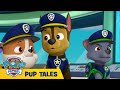 🐶 Ultimate Rescue: Pups Save the Royal Kitties | PAW Patrol | Cartoons for Kids