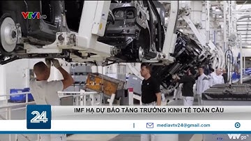 IMF hạ dự báo tăng trưởng kinh tế toàn cầu | VTV24