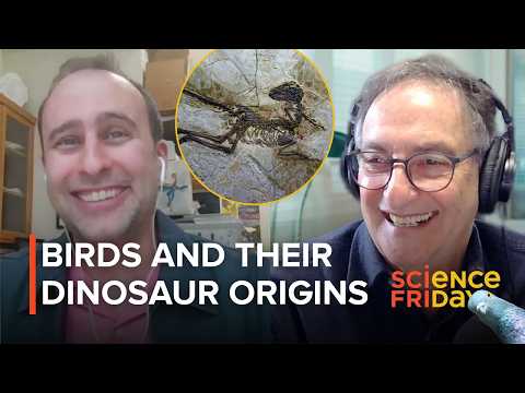 The long history of birds, from velociraptors to pigeons