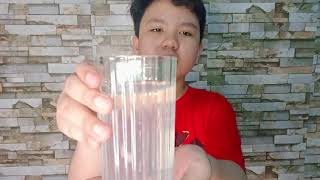 Ken Peñamante's Performance Task
