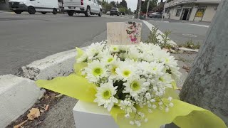 Driver arrested after deadly Santa Rosa hit and run
