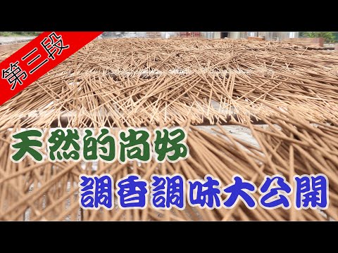 【天然的尚好 調香調味大公開】寶島神很大 241 集 5月20日 Part3 godblessbaodao20200520