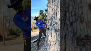 Big Tree Removal. #viral #fyp #foryou #youtubeshort