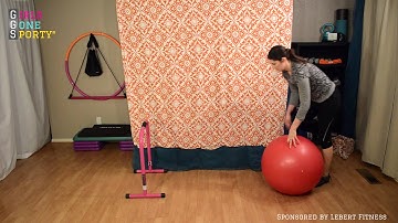 Lebert Equalizer Bars Fun exercises to strengthen core