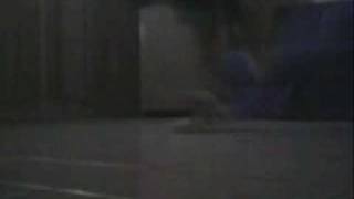 Netoo Rebolation - Bdm