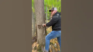 Are Cheap Trail Cameras Worth It 