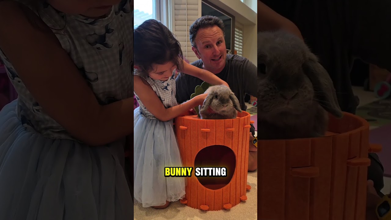 Our Bunny's New Carrot House
