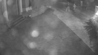 Attempt to Identify - Criminal Mischief 2-5-17