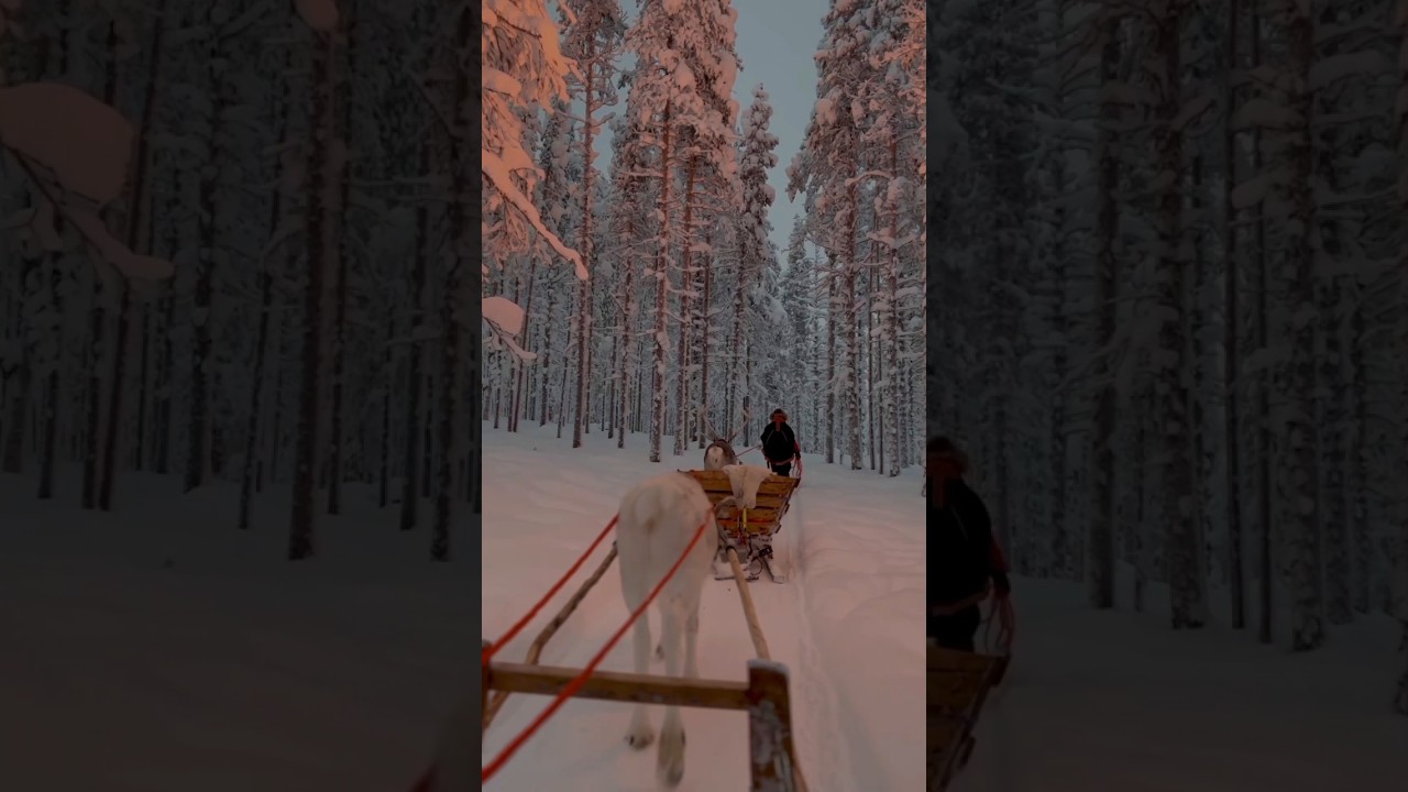 Plasec  on earth that don't feel real 