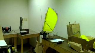Passive Aeroelastic Ornithopter Wing